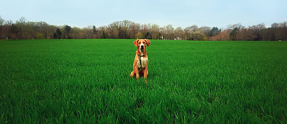 beasley-header.jpg